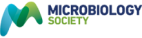 Microbiology Society logo
