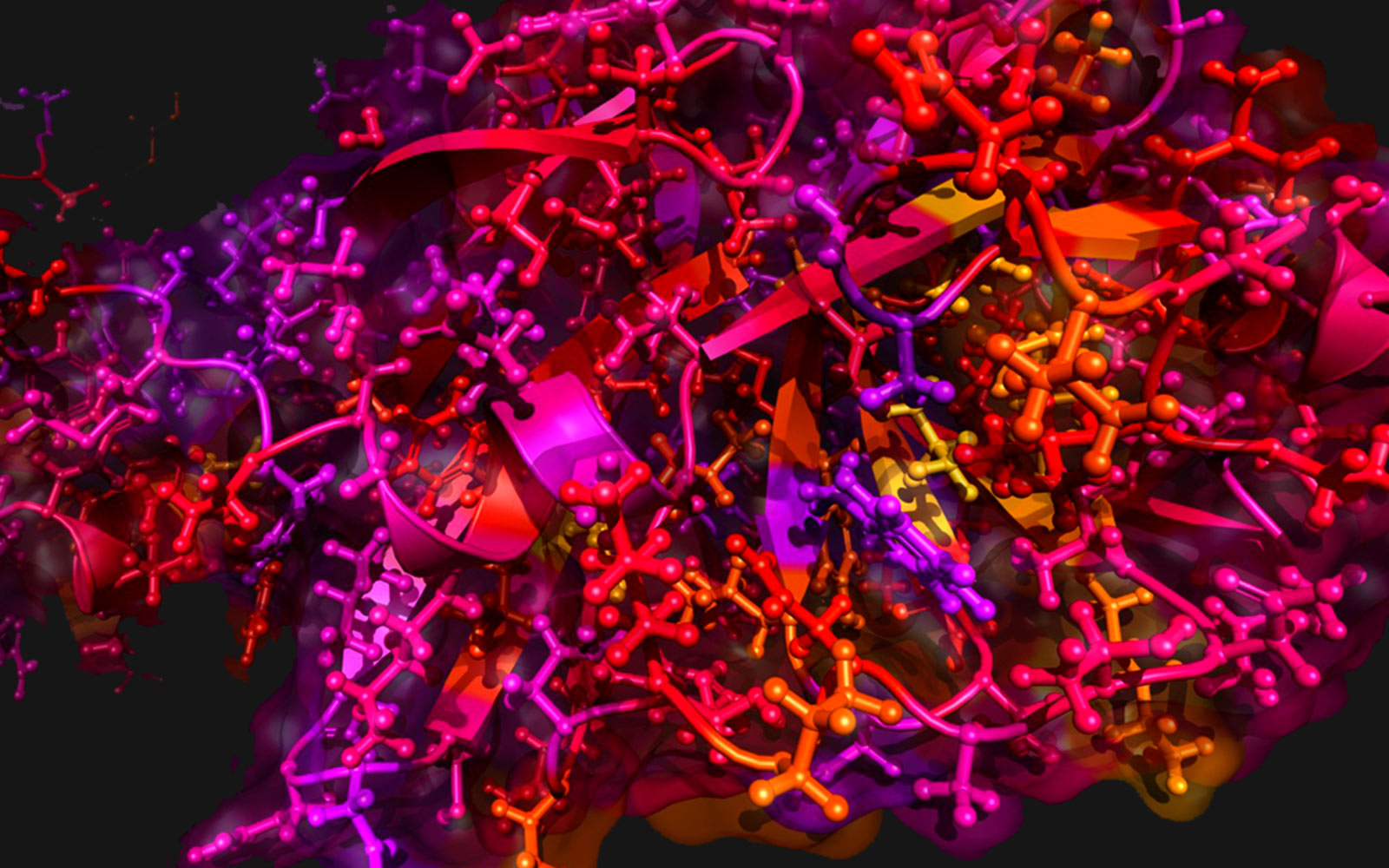 Comparative model of novel coronavirus 2019